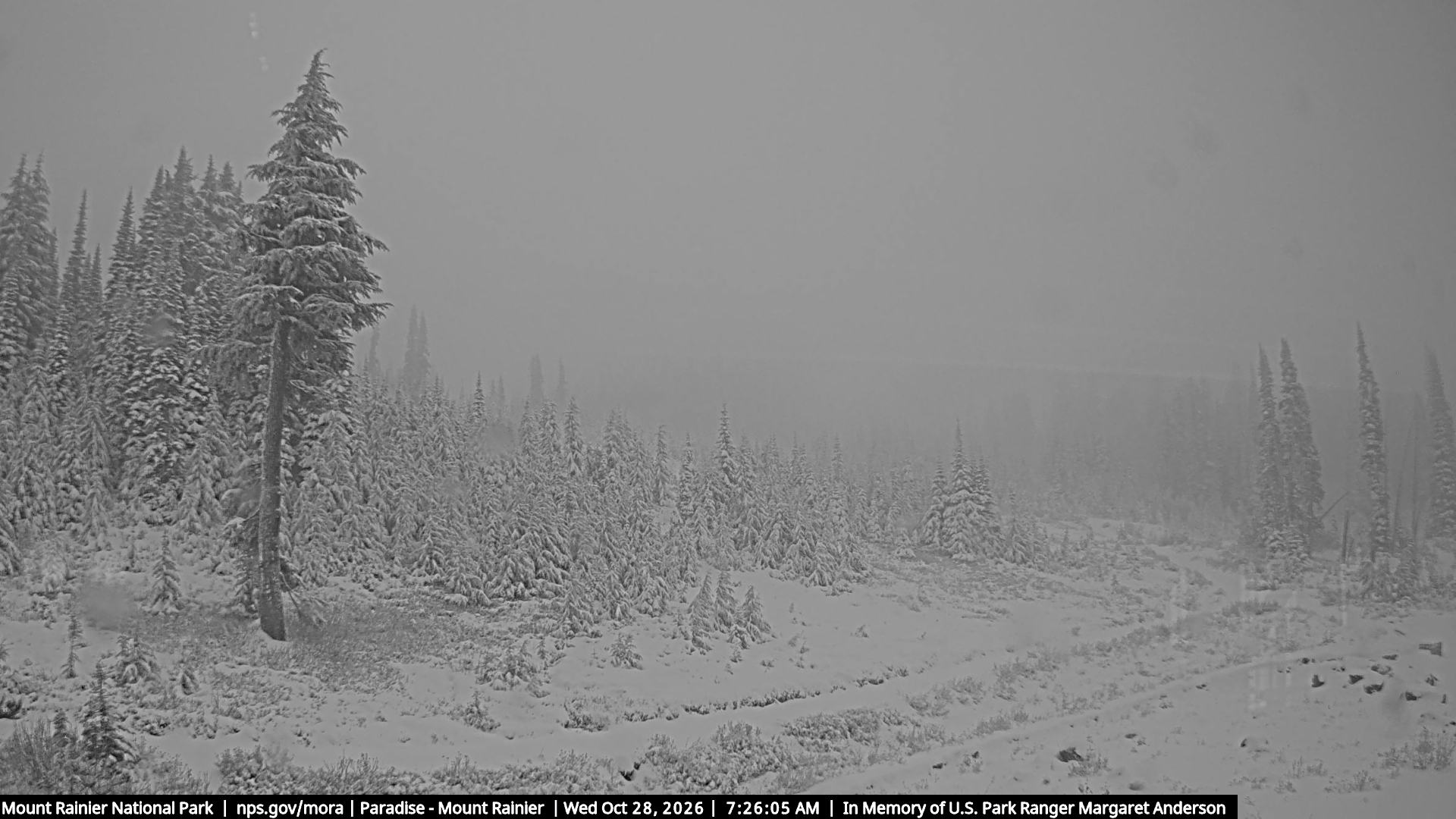 Mount Rainier webcam